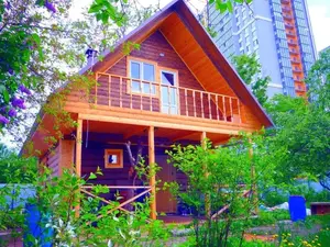 Фото к объявлению #22089946