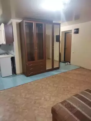 Фото к объявлению #21313834