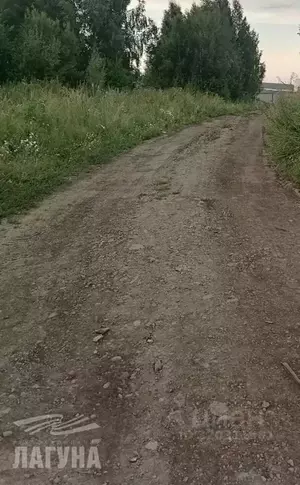 Фото к объявлению #22238374