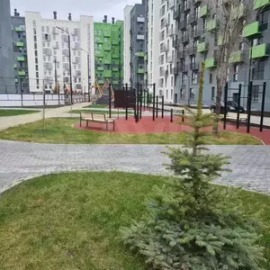 Фото к объявлению #21033516
