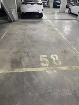 Фото к объявлению #21946916