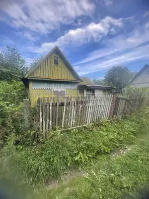 Фото к объявлению #22191538