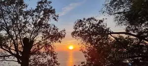 Фото к объявлению #22191016