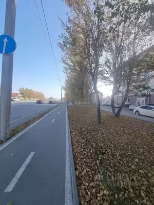 Фото к объявлению #22265876