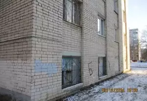Фото к объявлению #22119094