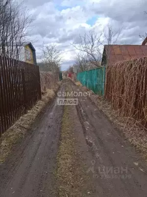 Фото к объявлению #22019617
