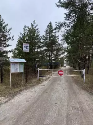 Фото к объявлению #21703299