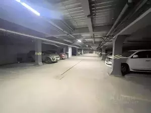 Фото к объявлению #20811295