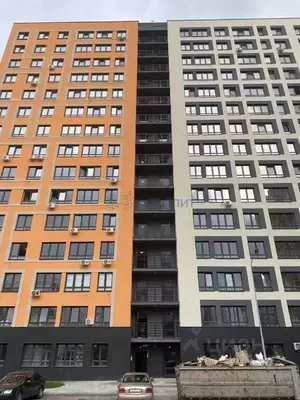 Фото к объявлению #22201127