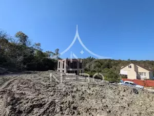 Фото к объявлению #22254262