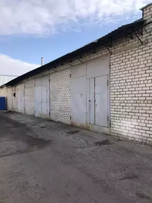 Фото к объявлению #21545451