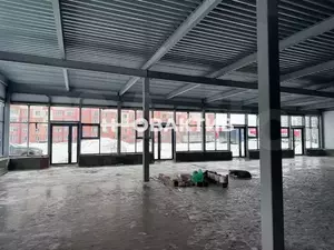 Фото к объявлению #21348209