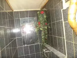 Фото к объявлению #22241497