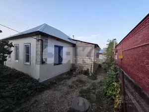 Фото к объявлению #22200576