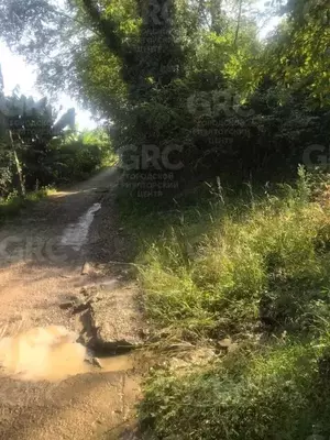 Фото к объявлению #22211078