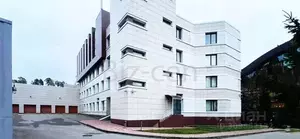 Фото к объявлению #21689440