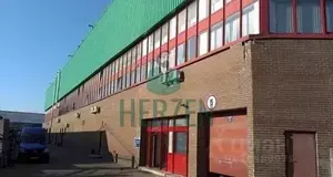 Фото к объявлению #19746294