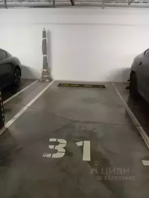 Фото к объявлению #22070890