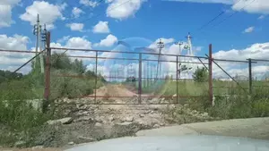 Фото к объявлению #20460506