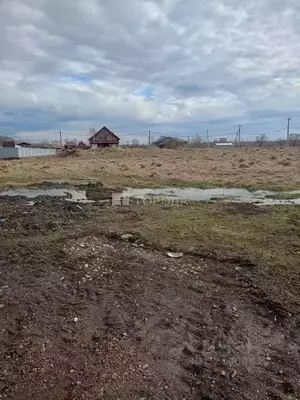 Фото к объявлению #22193891