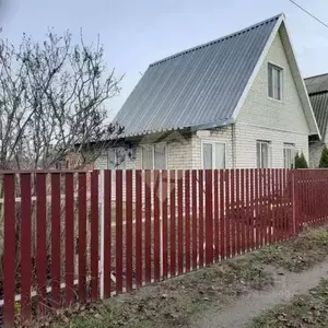 Фото к объявлению #20292014