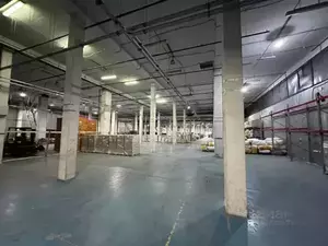 Фото к объявлению #21064770