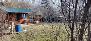 Фото к объявлению #22033477