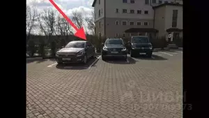 Фото к объявлению #21583645