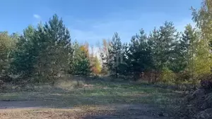 Фото к объявлению #20852626