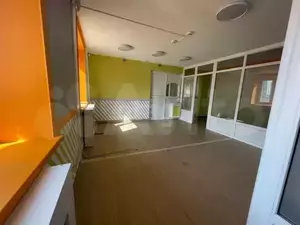 Фото к объявлению #21117812