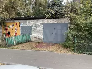 Фото к объявлению #21347569