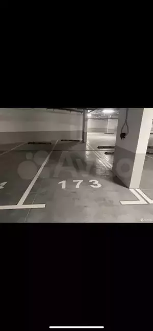 Фото к объявлению #20533997