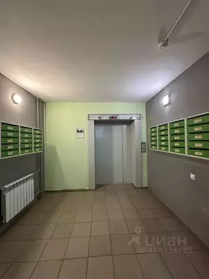 Фото к объявлению #21293971