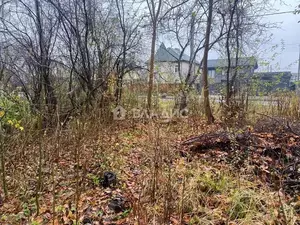 Фото к объявлению #22247173