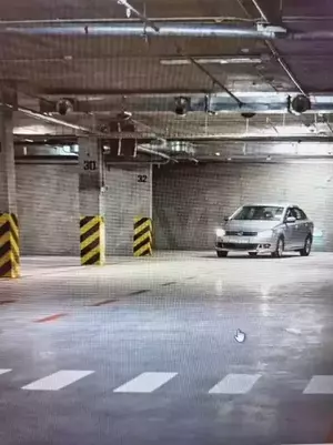 Фото к объявлению #20212904