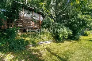 Фото к объявлению #22269420