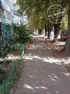 Фото к объявлению #22051830
