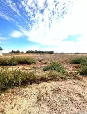 Фото к объявлению #22184821