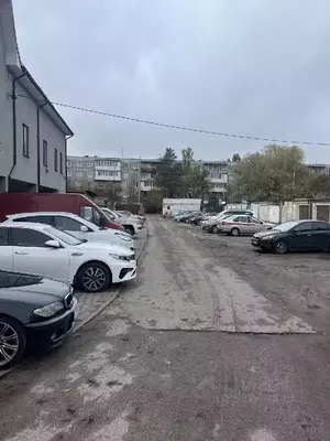 Фото к объявлению #20279452