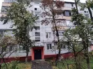 Фото к объявлению #20938777