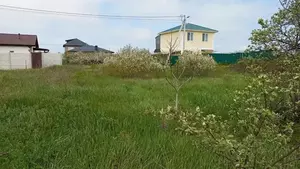 Фото к объявлению #22125989
