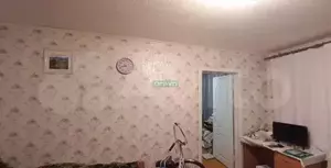 Фото к объявлению #21113697