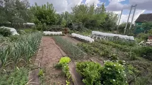 Фото к объявлению #22202859