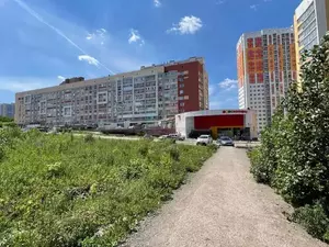 Фото к объявлению #22189707