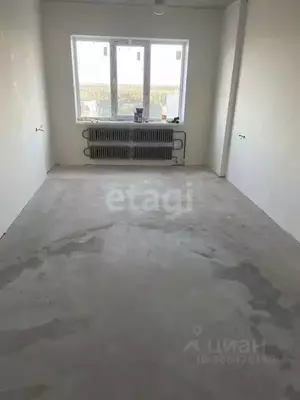 Фото к объявлению #21347212