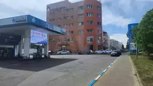 Фото к объявлению #21032368