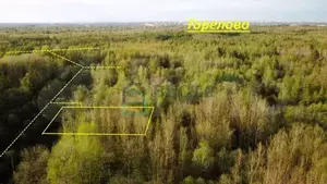 Фото к объявлению #20556873