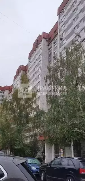 Фото к объявлению #22189836