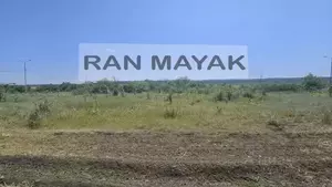 Фото к объявлению #22288992