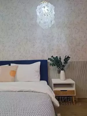 Фото к объявлению #22261123